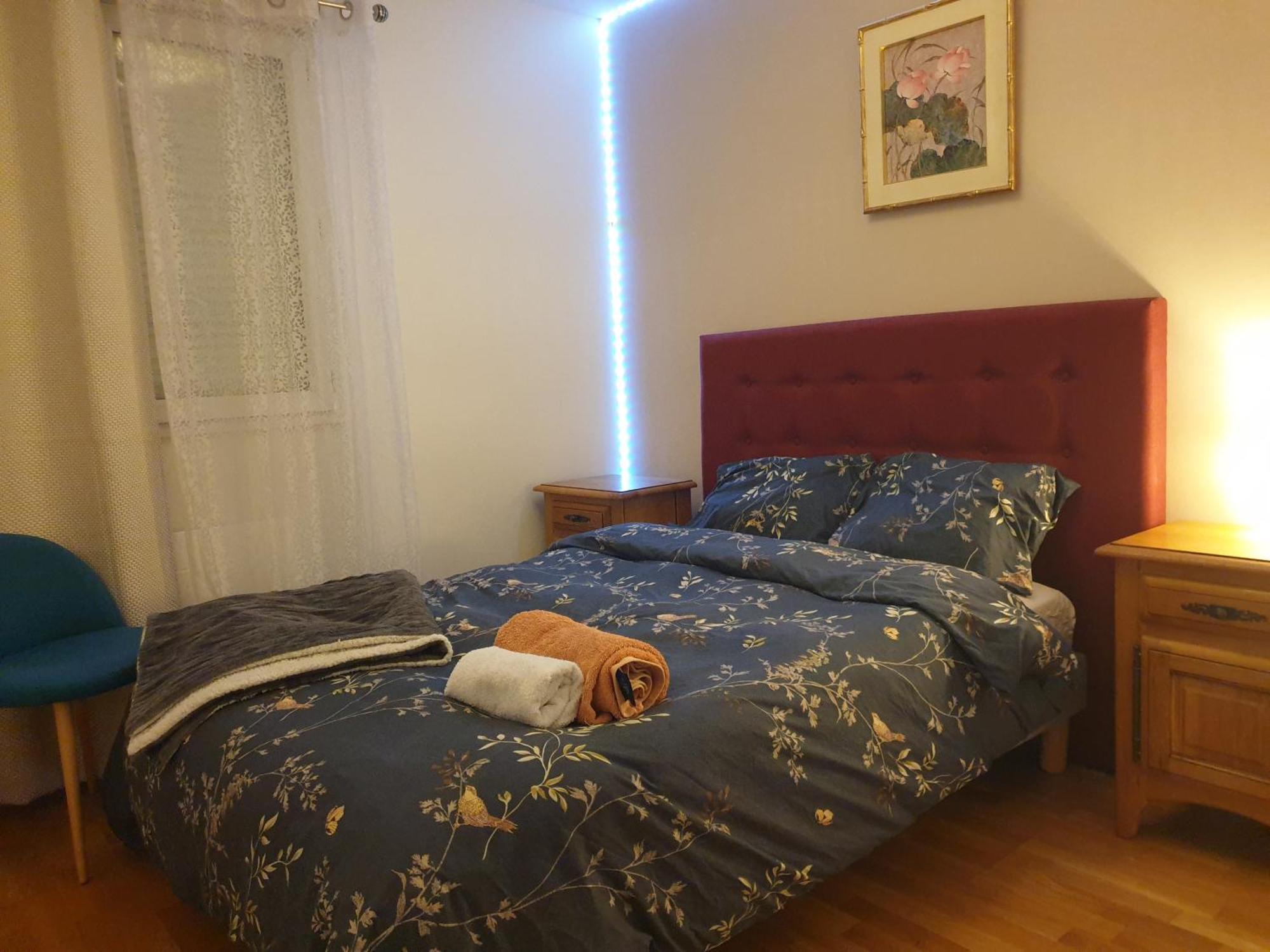 Spacieux Et Calme, Style Parisien, Toutes Commodites, Ideal Pour Un Sejour Authentique 圣但尼 客房 照片